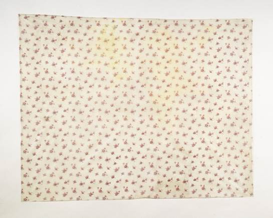 Robert F. Hammerstiel