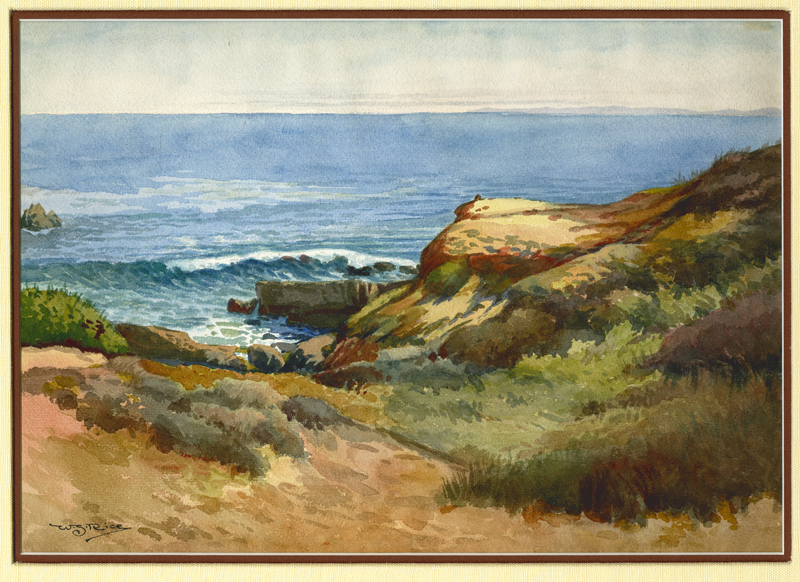 William Seltzer Rice