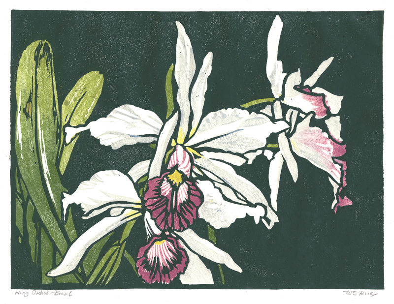 William Seltzer Rice