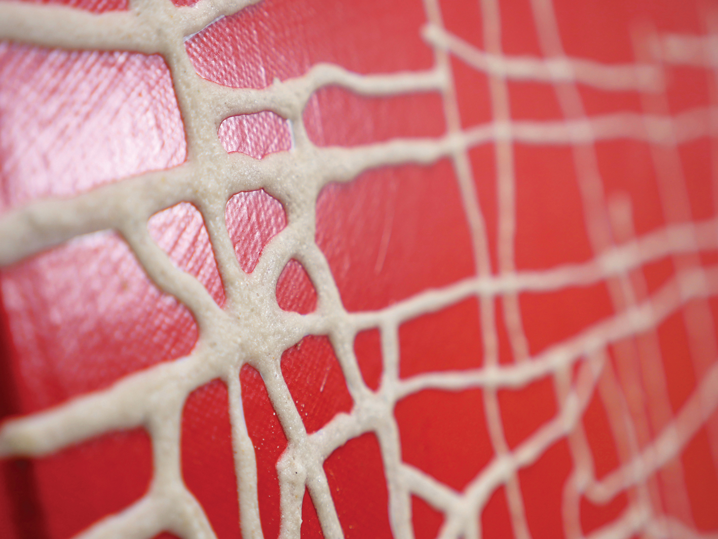 MASSIMILIANO GALLIANI