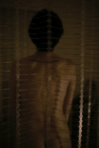 Birdcage, 2015. Photograph, glossy print on dibond, 100 x 70 cm Maria José Arjona