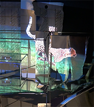 SARAH SZE