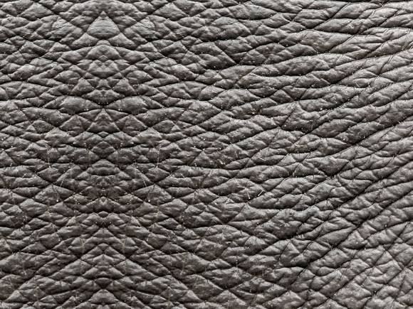 Michael Niemetz & Dan Steinhilber