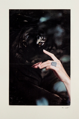 Rebecca Haysom