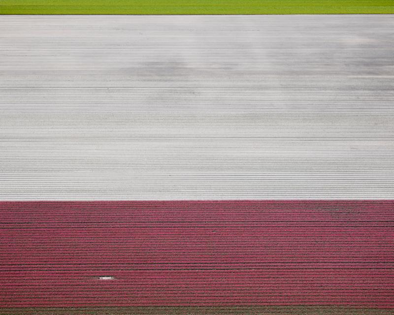 David Burdeny