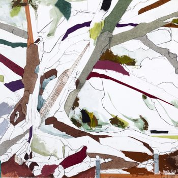 Jill  Lear