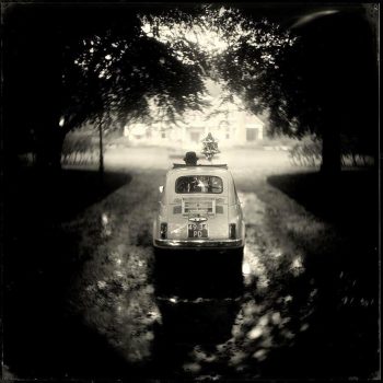 Alex Timmermans