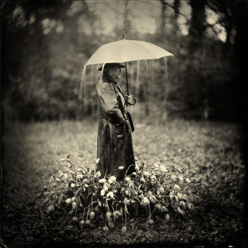 Alex Timmermans