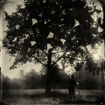 Alex Timmermans