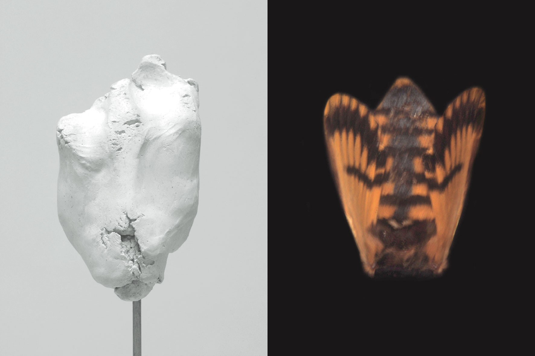 GROSSETTI ARTE CONTEMPORANEA