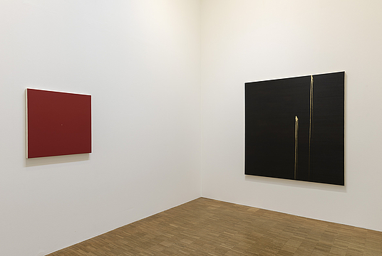 Callum Innes 
