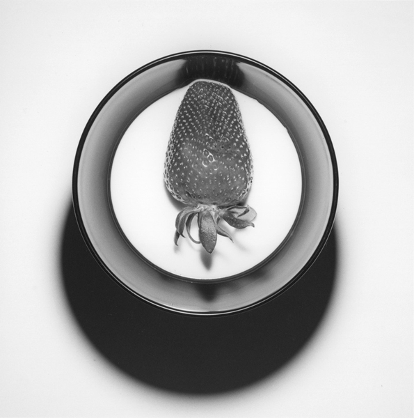 Robert Mapplethorpe