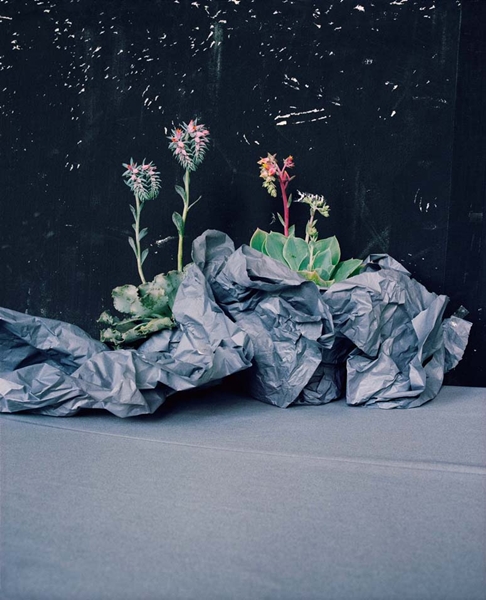 Annette Kelm