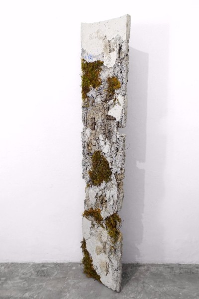 Michele Tiberio