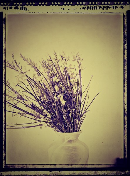 IN ART nel segno del contemporaneo