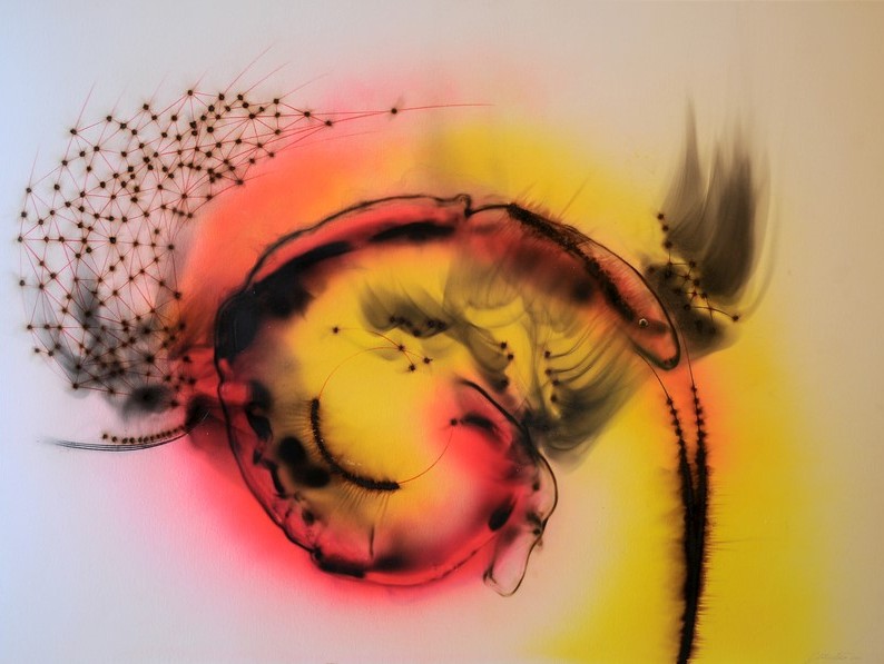 IN ART nel segno del contemporaneo