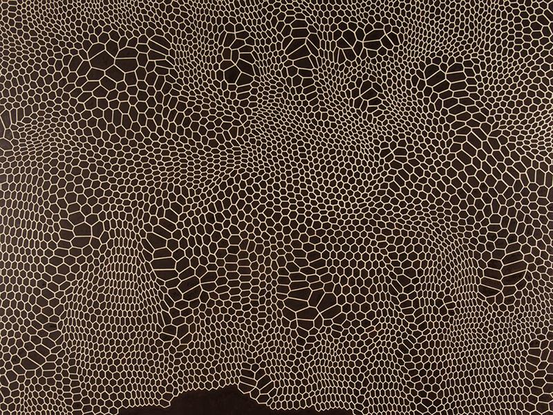 Paul Manes