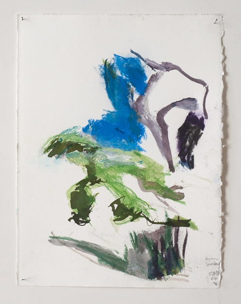 Lynn Umlauf
