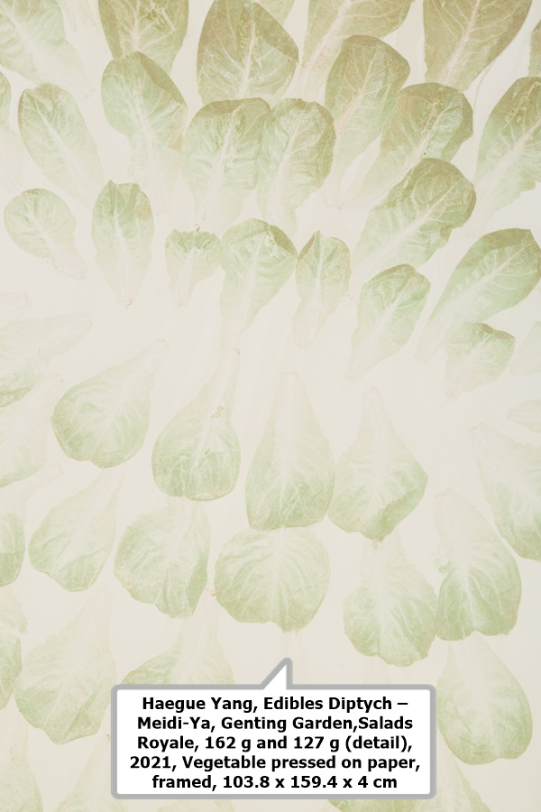 click to enlarge- double click to reduce Haegue Yang, Edibles Diptych – Meidi-Ya, Genting Garden, Salads Royale, 162 g and 127 g (detail),
2021, Vegetable pressed on paper, framed,
103.8 x 159.4 x 4 cm