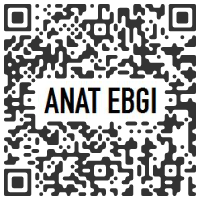 mpefm - QR code ANAT EBGI, Los Angeles CA U.S.A. - Jordan Nassar : A Sun To Come - February 12 > March 26, 2022 @AnatEbgi