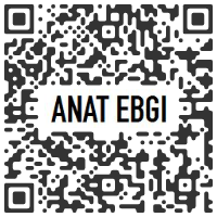 mpefm - QR code ANAT EBGI, Los Angeles CA U.S.A. - Sigrid Sandström : FIGURE GROUND - March 13 > April 24, 2021 @AnatEbgi