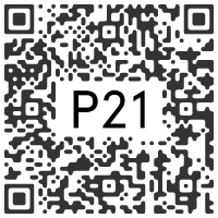 P21, Seoul SOUTH KOREA - Haneyl Choi : Siamese - May 21st > June 28th, 2020 @ptwoone