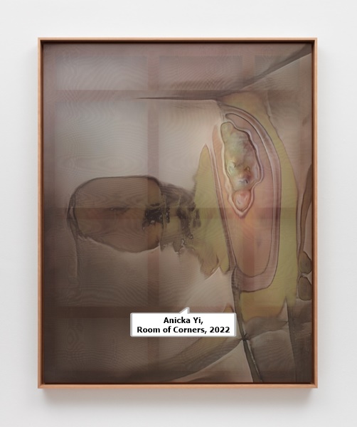 Anicka Yi, Room of Corners, 2022
