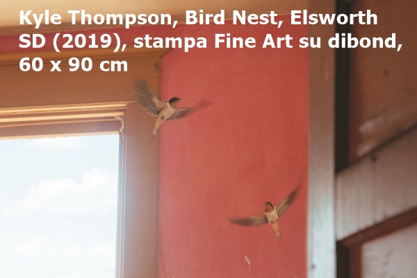 Kyle Thompson, Bird Nest, Elsworth SD (2019), stampa Fine Art su dibond, 60 x 90 cm 