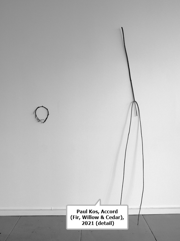 click to enlarge- double click to reduce Paul Kos, Accord (Fir, Willow & Cedar), 2021 (detail)