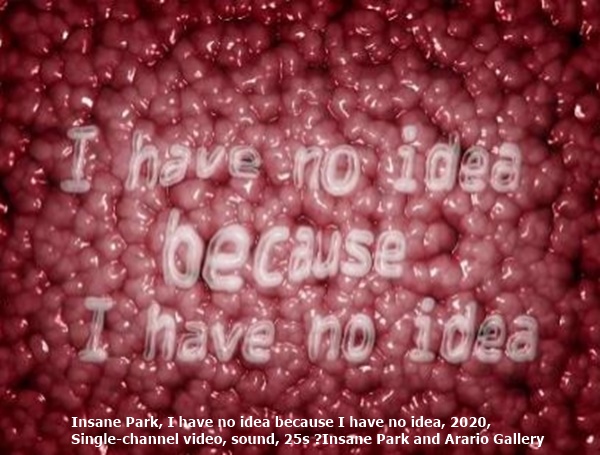 click to enlarge- double click to reduce Insane Park, I have no idea because I have no idea, 2020, Single-channel video, sound, 25s ⓒInsane Park and Arario Gallery
