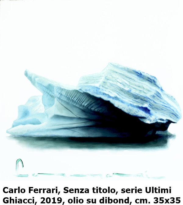 Carlo Ferrari, Senza titolo, serie Ultimi Ghiacci, 2019, olio su dibond, cm. 35x35