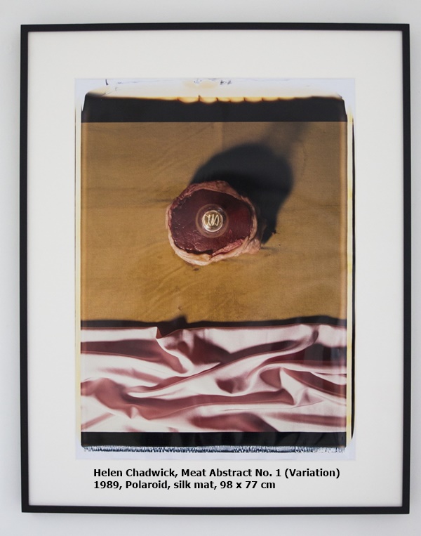 click to enlarge- double click to reduce Helen Chadwick, Meat Abstract No. 1 (Variation)
1989, Polaroid, silk mat, 98 x 77 cm