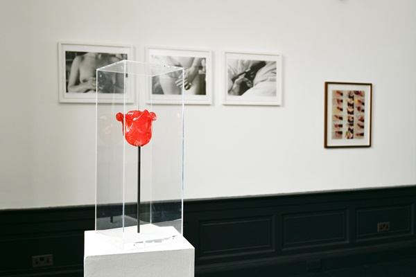 click to enlarge- double click to reduce Bodily Objects Installation view