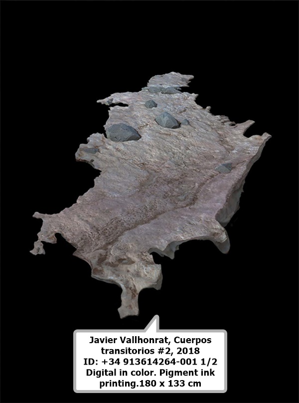 click to enlarge- double click to reduce Javier Vallhonrat
Cuerpos transitorios #2, 2018
ID: +34 913614264-001
1/2
Digital in color. Pigment ink printing.
180 x 133 cm