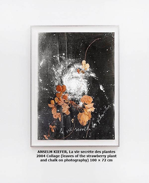 click to enlarge- double click to reduce ANSELM KIEFER
La vie secrète des plantes
2004
Collage (leaves of the strawberry plant and chalk on photography)
100 × 72 cm