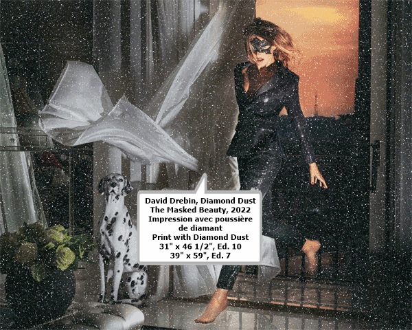 David Drebin, Diamond Dust The Masked Beauty, 2022
Impression avec poussière de diamant
Print with Diamond Dust
31 x 46 1/2, Ed. 10
39 x 59, Ed. 7