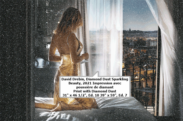 David Drebin, Diamond Dust Sparkling Beauty, 2021
Impression avec poussière de diamant
Print with Diamond Dust
31 x 46 1/2, Ed. 10
39 x 59, Ed. 7