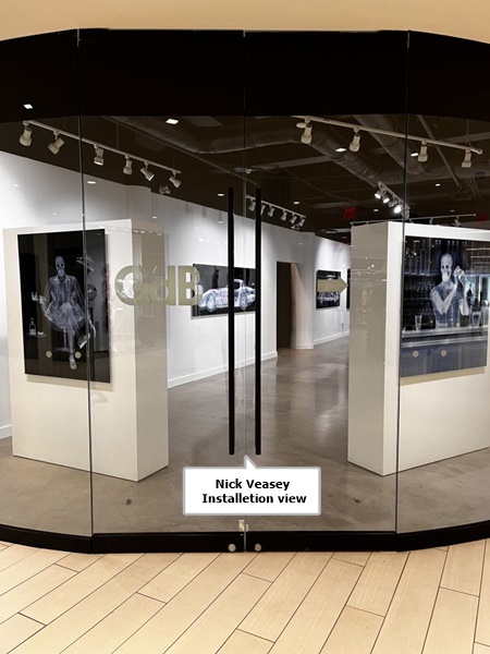 click to enlarge- double click to reduce Galerie de Bellefeuille, Toronto ON CANADA - Nick Veasey Installetion view