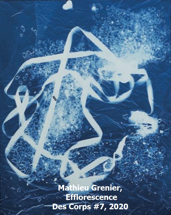 click to enlarge- double click to reduce Mathieu Grenier, Efflorescence Des Corps #7, 2020.