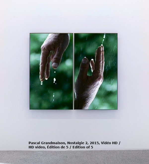 Pascal Grandmaison, Nostalgie 2, 2015, Vidéo HD / HD video, Édition de 5 / Edition of 5
