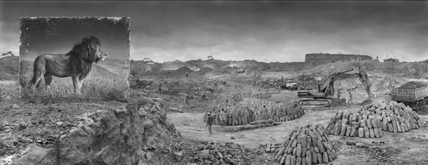 click to enlarge- double click to reduce Nick Brandt : Inherit the dust