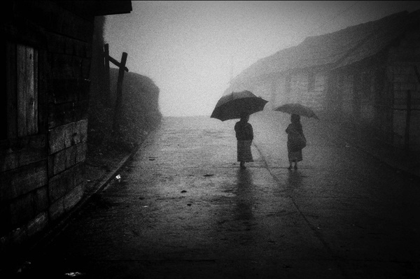 Yasuhiro Ogawa : THE DREAMING