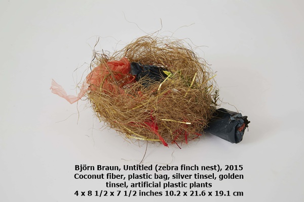 click to enlarge- double click to reduce Björn Braun, Untitled (zebra finch nest), 2015
Coconut fiber, plastic bag, silver tinsel, golden tinsel, artificial plastic plants
4 x 8 1/2 x 7 1/2 inches 10.2 x 21.6 x 19.1 cm