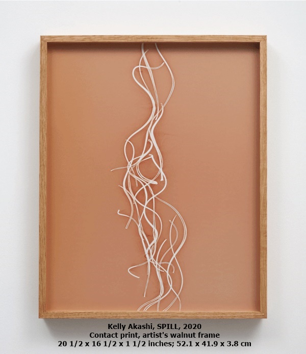 click to enlarge- double click to reduce Kelly Akashi, SPILL, 2020
Contact print, artist's walnut frame
20 1/2 x 16 1/2 x 1 1/2 inches; 52.1 x 41.9 x 3.8 cm