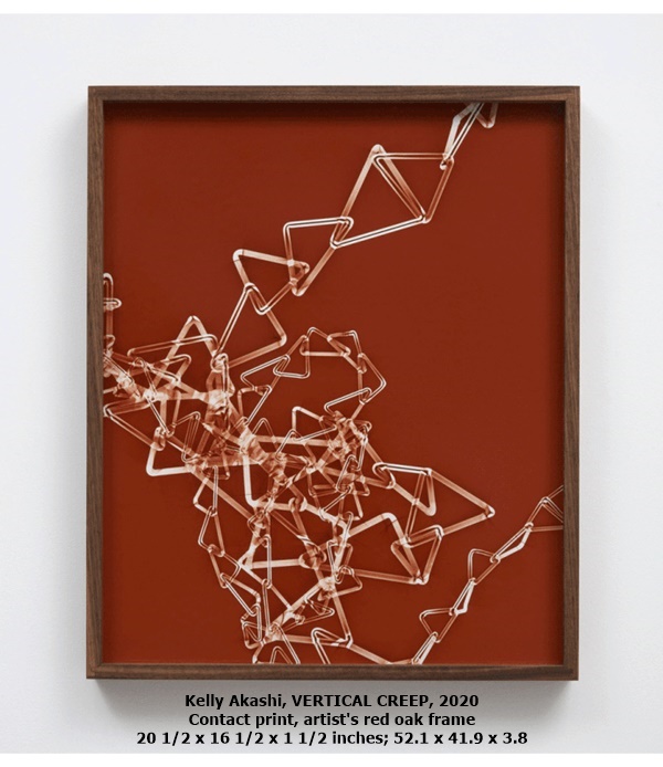 click to enlarge- double click to reduce Kelly Akashi, VERTICAL CREEP, 2020
Contact print, artist's red oak frame
20 1/2 x 16 1/2 x 1 1/2 inches; 52.1 x 41.9 x 3.8
