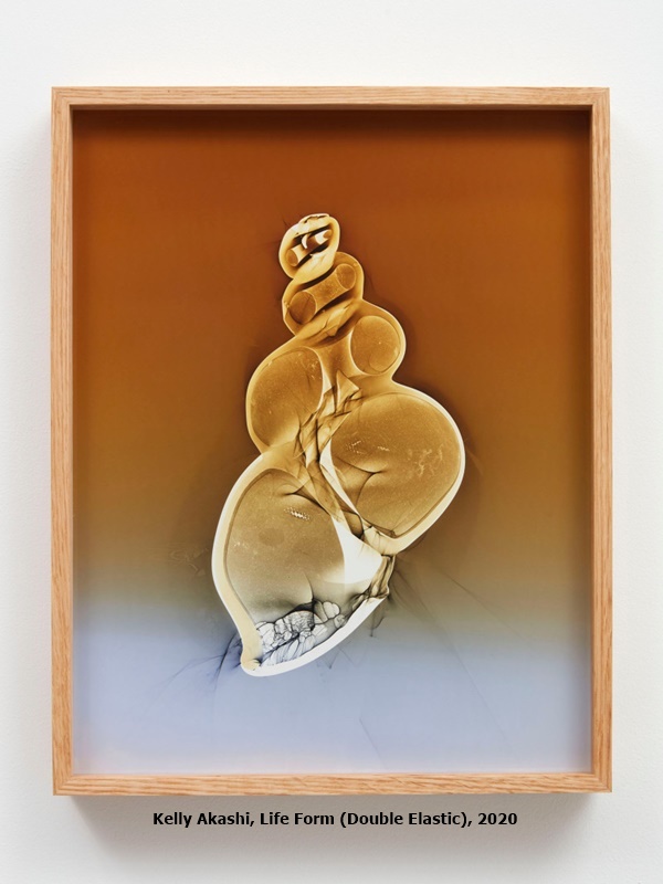 click to enlarge- double click to reduce Kelly Akashi, Life Form (Double Elastic), 2020