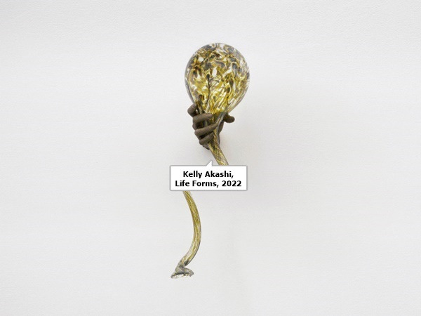 Kelly Akashi, Life Forms, 2022