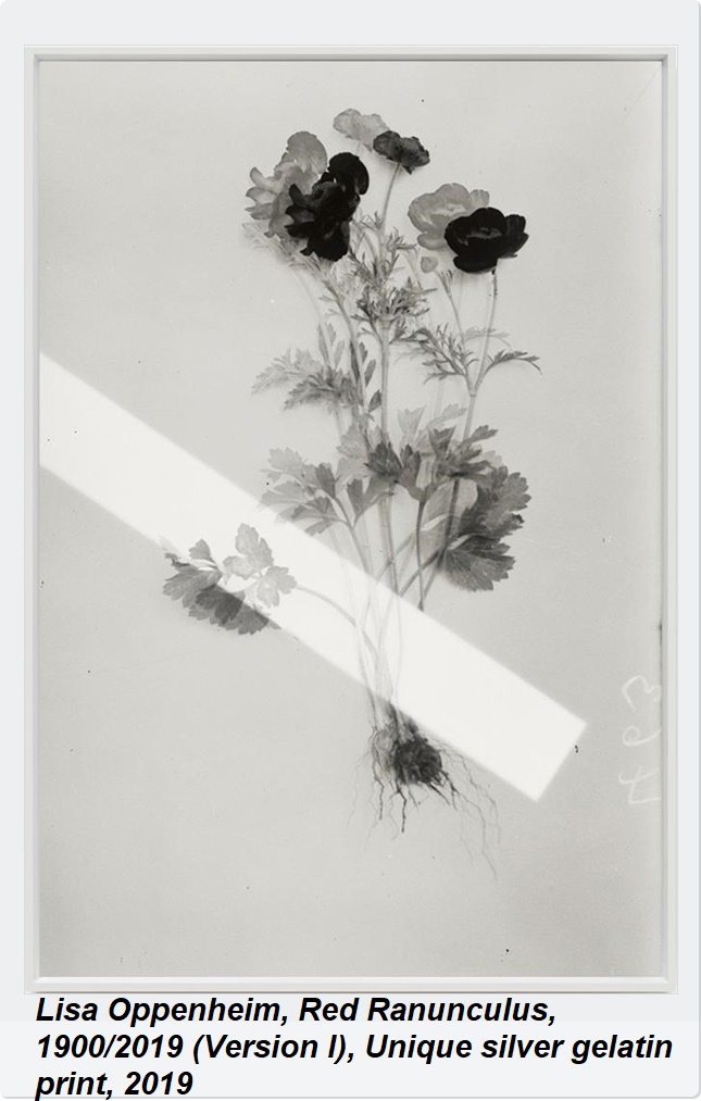 Tanya Bonakdar Gallery, New York NY USA