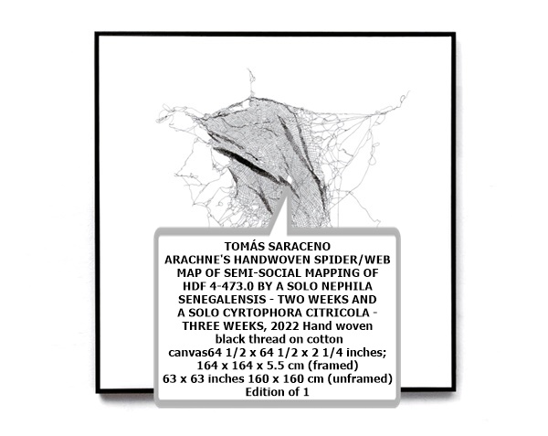 Open a larger version of the following image in a popup:Image of Arachne's handwoven Spider/Web Map
TOMÁS SARACENO
ARACHNE'S HANDWOVEN SPIDER/WEB MAP OF SEMI-SOCIAL MAPPING OF HDF 4-473.0 BY A SOLO NEPHILA SENEGALENSIS - TWO WEEKS AND A SOLO CYRTOPHORA CITRICOLA - THREE WEEKS, 2022
Hand woven black thread on cotton canvas
64 1/2 x 64 1/2 x 2 1/4 inches; 164 x 164 x 5.5 cm (framed)
63 x 63 inches 160 x 160 cm (unframed)
Edition of 1
