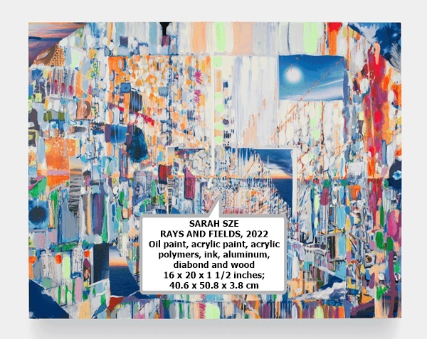 Open a larger version of the following image in a popup:Image of Rays and Fields
SARAH SZE
RAYS AND FIELDS, 2022
Oil paint, acrylic paint, acrylic polymers, ink, aluminum, diabond and wood
16 x 20 x 1 1/2 inches; 40.6 x 50.8 x 3.8 cm
